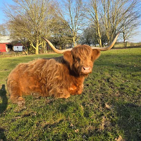 Feriehus Skee Store Merlose