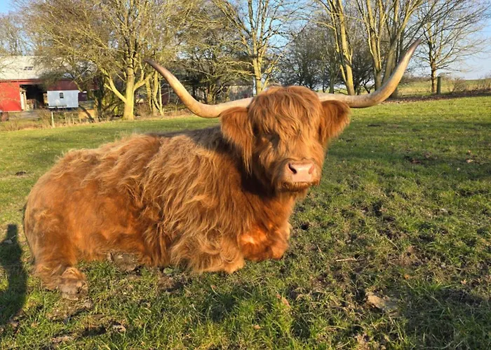 Feriehus Skee Store Merlose