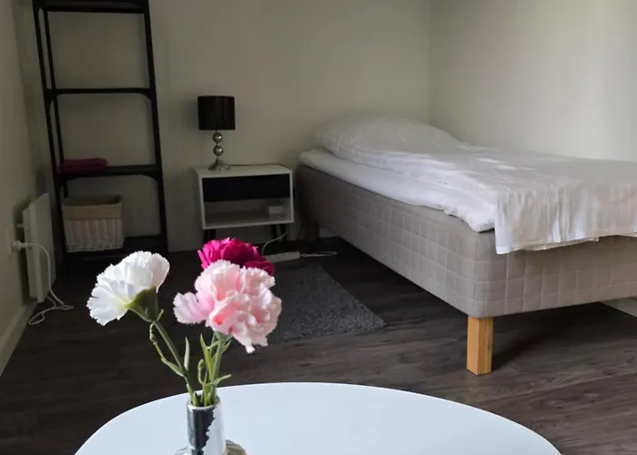 Skee * Store Merlose